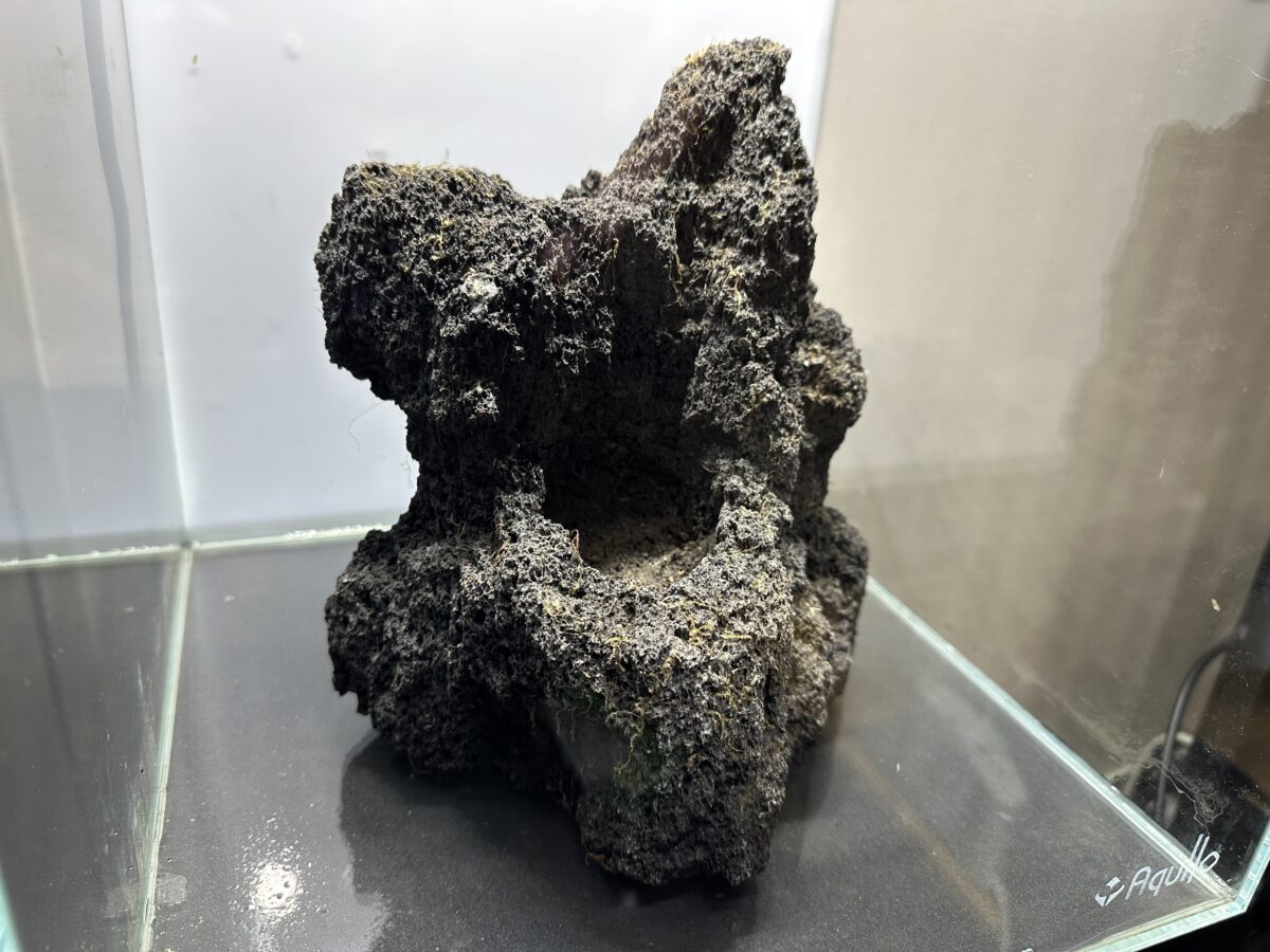 雲山石のアップ