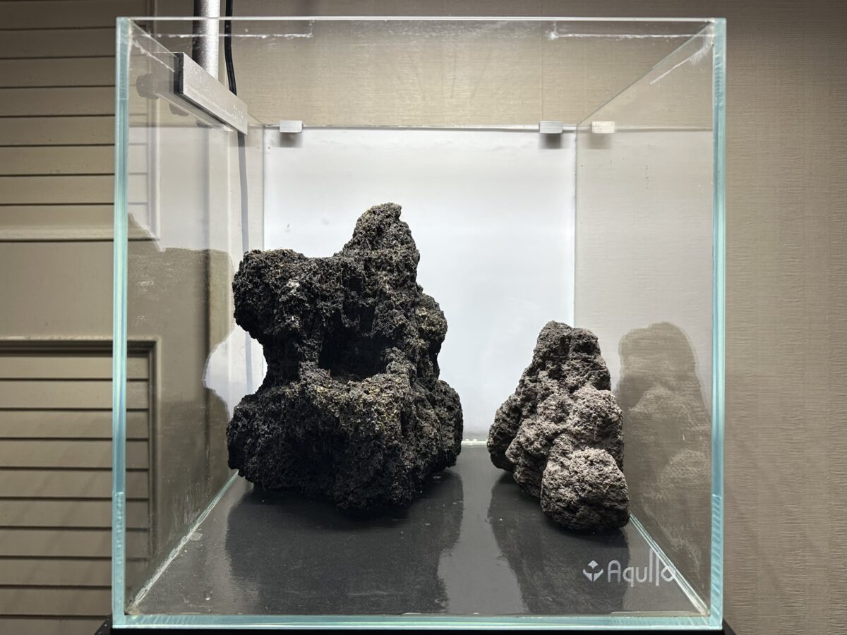 左右に配置した雲山石