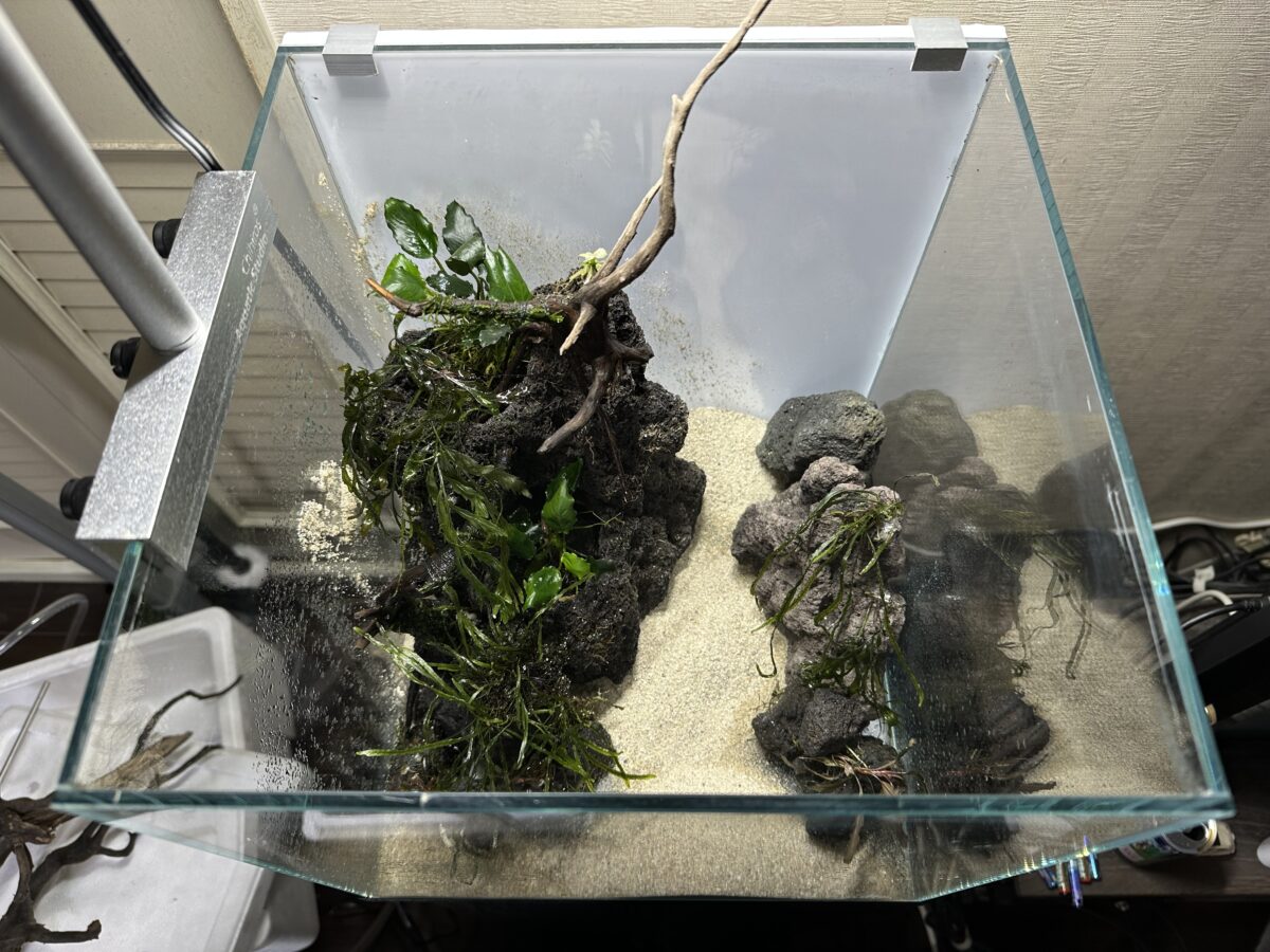 化粧砂を敷いた30㎝キューブ水槽