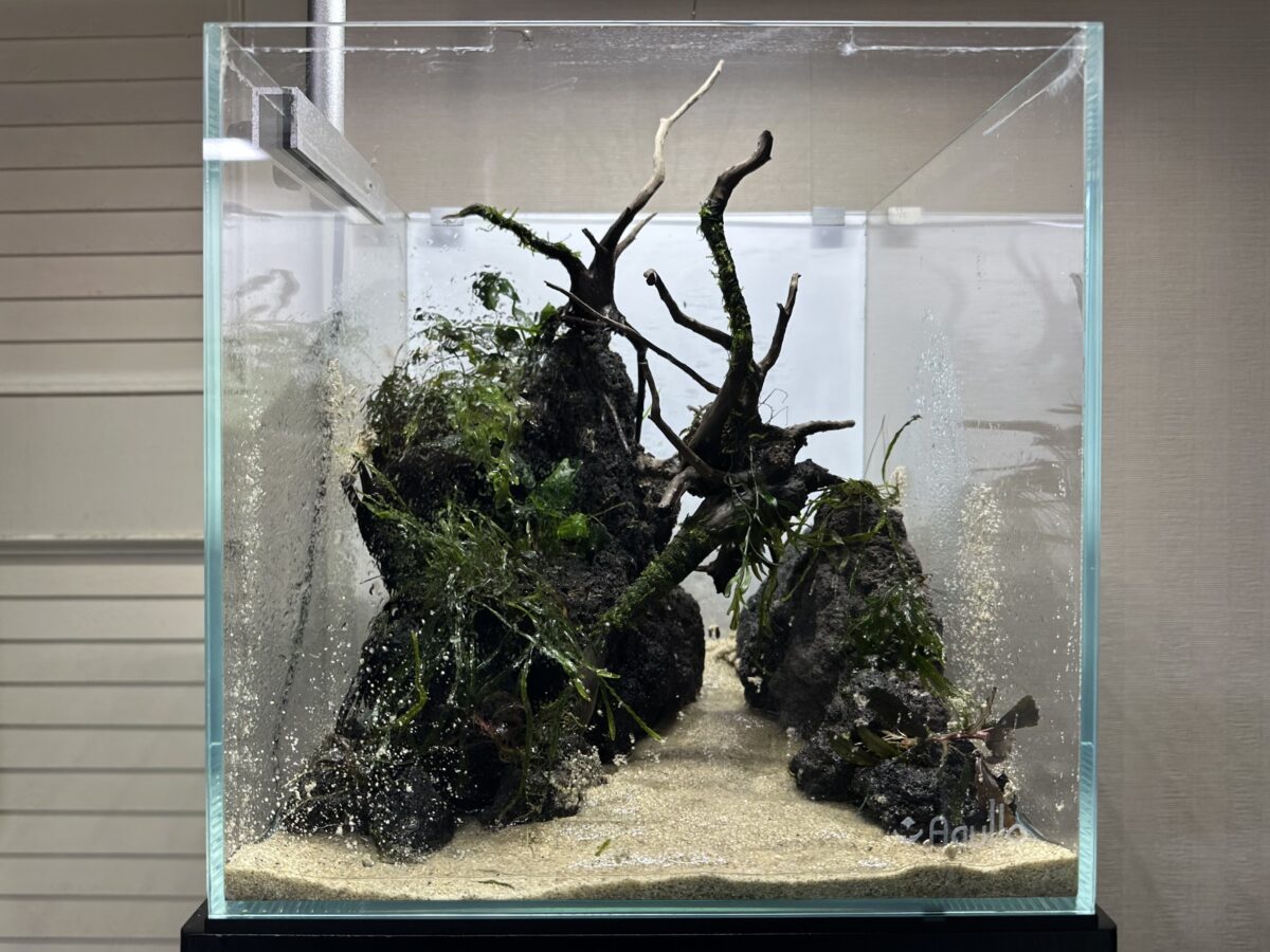 注水前の30㎝キューブ水槽